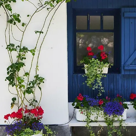 Country house Aterian Lazkano Enea *