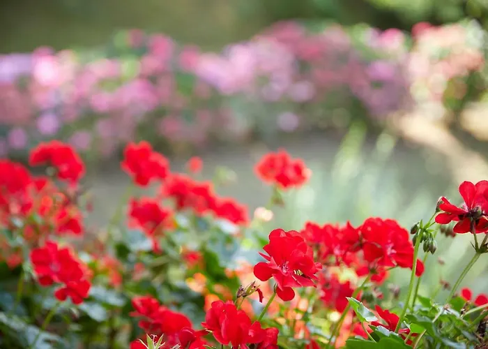 Country house Aterian Lazkano Enea Getaria