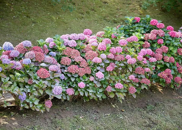 Aterian Lazkano Enea