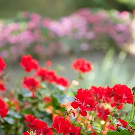 Casa rural Aterian Lazkano Enea Getaria