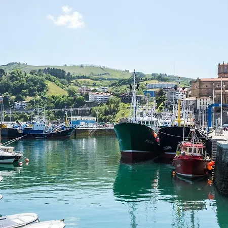 Сasa de vacaciones Aterian Lazkano Enea. *